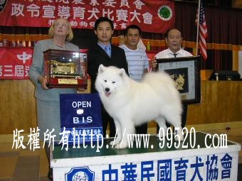 大家快來看...我家ㄉ狗會微笑 - 20070319200908_359151468.jpg(圖)