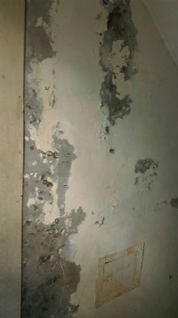 房屋抓漏翻修壁癌防水防熱土木水電磁磚修補_圖片(4)