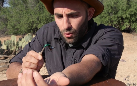 生活,歡樂,有趣 - 20161022081755-96145492.jpg(圖)