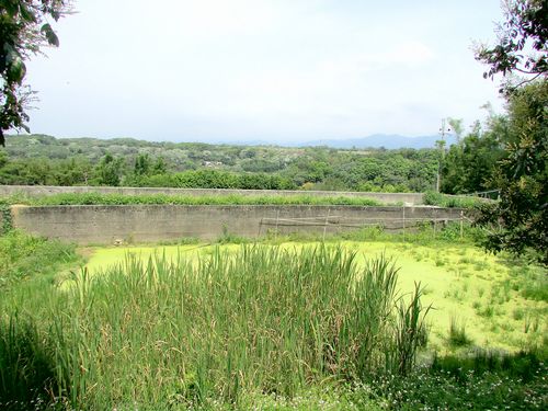 苗栗聯大丙建+旱林溜*-*丙建:229坪/農牧用地:1385坪/溜:148坪*頭份房屋 - 20150618172922-620100749.JPG(圖)