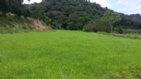 ~漂亮休閒農地~*-*平坦、視野開闊、竹南頭份農地、投資理財、成交快不動產_圖片(2)