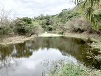 三合院紅磚屋休閒農場用地(丙建134坪)_圖片(3)