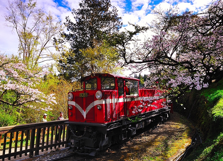 台灣自由行,租車旅遊,環島包車, (包車,一日遊),(24H機場接送),司機加導遊~!! 歡迎洽詢規劃 - 20150423151120-773342719.jpg(圖)