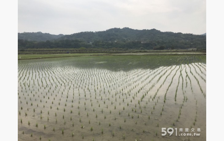 新埔南平太平窩農地 - 20180322032235-548112045.jpg(圖)