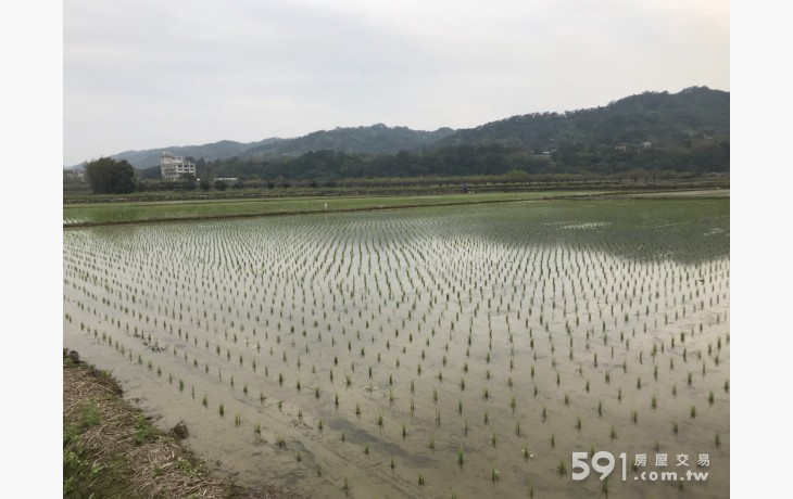 新埔南平太平窩農地 - 20180322032235-548116988.jpg(圖)