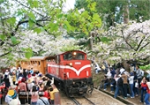 阿里山賓館-暑期特惠-住一天送一天 - 20150613113807-167651478.jpg(圖)