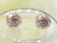 完美經典刻劃316不銹鋼造型手環/耳環/抗敏短鍊批發/訂製_圖片(4)