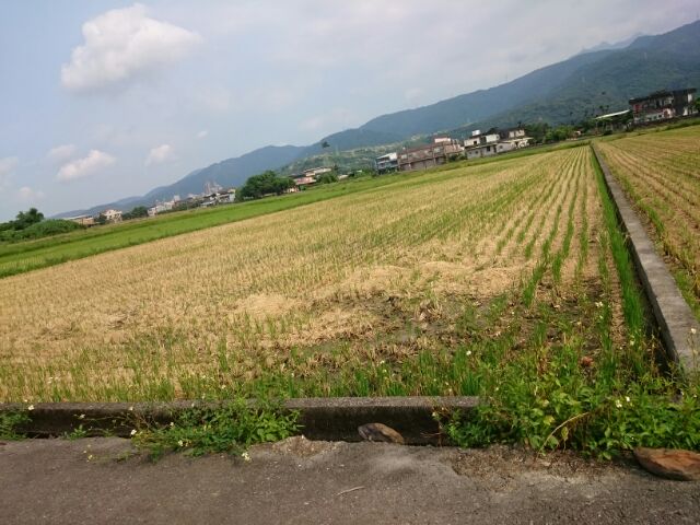 售宜蘭農地_冬山漂亮方正平整876.04坪 - 20160820185627-111493626.jpg(圖)