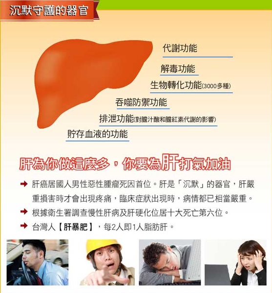 脂肪肝找上門　蜆來護肝保健康 - 20151112164332-317906206.jpg(圖)