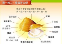 護肝到調節三高、抗發炎黃金蜆蛋白 保健價值升級_圖片(2)