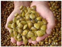「蜆」為人知的好處：保肝又解毒！1步驟增8倍營養_圖片(2)