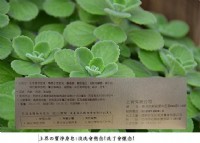 手工皂-淨身皂-能量皂-上界の寳淨身皂_圖片(2)