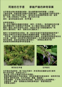 手工皂-淨身皂-能量皂-上界の寳淨身皂_圖片(4)