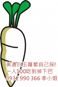 美濃白玉蘿蔔自己採! 一人100吃到掉下巴!請打電話洽詢!_圖片(1)