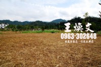 關西旭陽球場旁平坦農舍地_圖片(4)