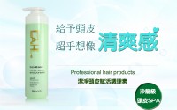 【蘿拉艾髮Laura Ai Hair】專業沙龍髮品_圖片(4)