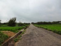 新屋笨港國小 超便宜農地 6米路 周邊無嫌惡設施!!_圖片(4)