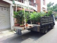 桃園吊車公司 / 吊車, 大吊車, 小吊車, 小型吊車_圖片(2)