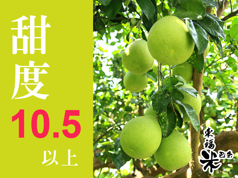 好吃文旦推薦~!~~~~~ - 20160917165342-102666433.jpg(圖)