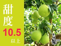 好吃文旦推薦~!~~~~~_圖片(2)