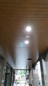 【高屏南】自營:輕鋼架/輕隔間/PVC/金屬類/造型鐵製系列天花板_圖片(2)