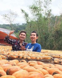 採買柿餅，讓今年過的柿柿順心_圖片(2)