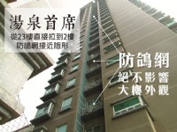 告別鴿子大便，從此和鴿子糞便說再見_圖片(1)