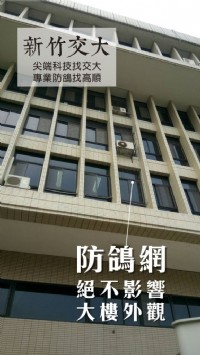 告別鴿子大便，從此和鴿子糞便說再見_圖片(2)