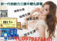 台灣總經銷 男人必看 壯陽補腎 勃動力三體牛鞭丸_圖片(1)