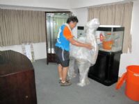 台北搬家公司,搬家公司,台南 搬家,台北 搬家 公司 搬家公司推薦,淡水搬家公司,板橋搬家公司頂級大台北搬家公司提供您最佳的搬家選擇，全省最優質搬家公司，最有效率、最細心、最平價的搬家服務_圖片(2)