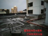 老屋增建翻修  衛浴翻修防水_圖片(4)