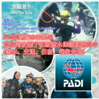 台南游龍潛水招生中●國際級PADI潛水教學&證照 ●各款潛水輕重裝備販售_圖片(3)