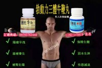 臺灣人最首選的補腎產品~~~勃動力三體牛鞭_圖片(1)