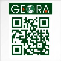 [九越科技GEORA] 5V2.1A雙USB時尚拉環迷你車載充電器_圖片(3)