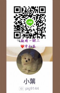 歡迎台桌交朋友_圖片(2)