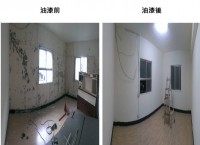 中樺油漆工程_圖片(3)