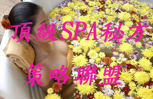 美容店家飽和，頂級SPA秘方讓您獨出一格 - 20090803121125_272926164.jpg(圖)