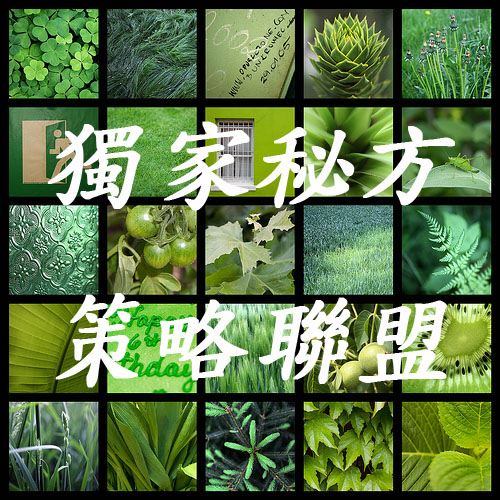 ☆☆食材變年輕的秘訣☆☆綠色食品工程，獨家秘方策酪聯盟，獨出一格創造無限商機 - 20090803121450_273072273.jpg(圖)