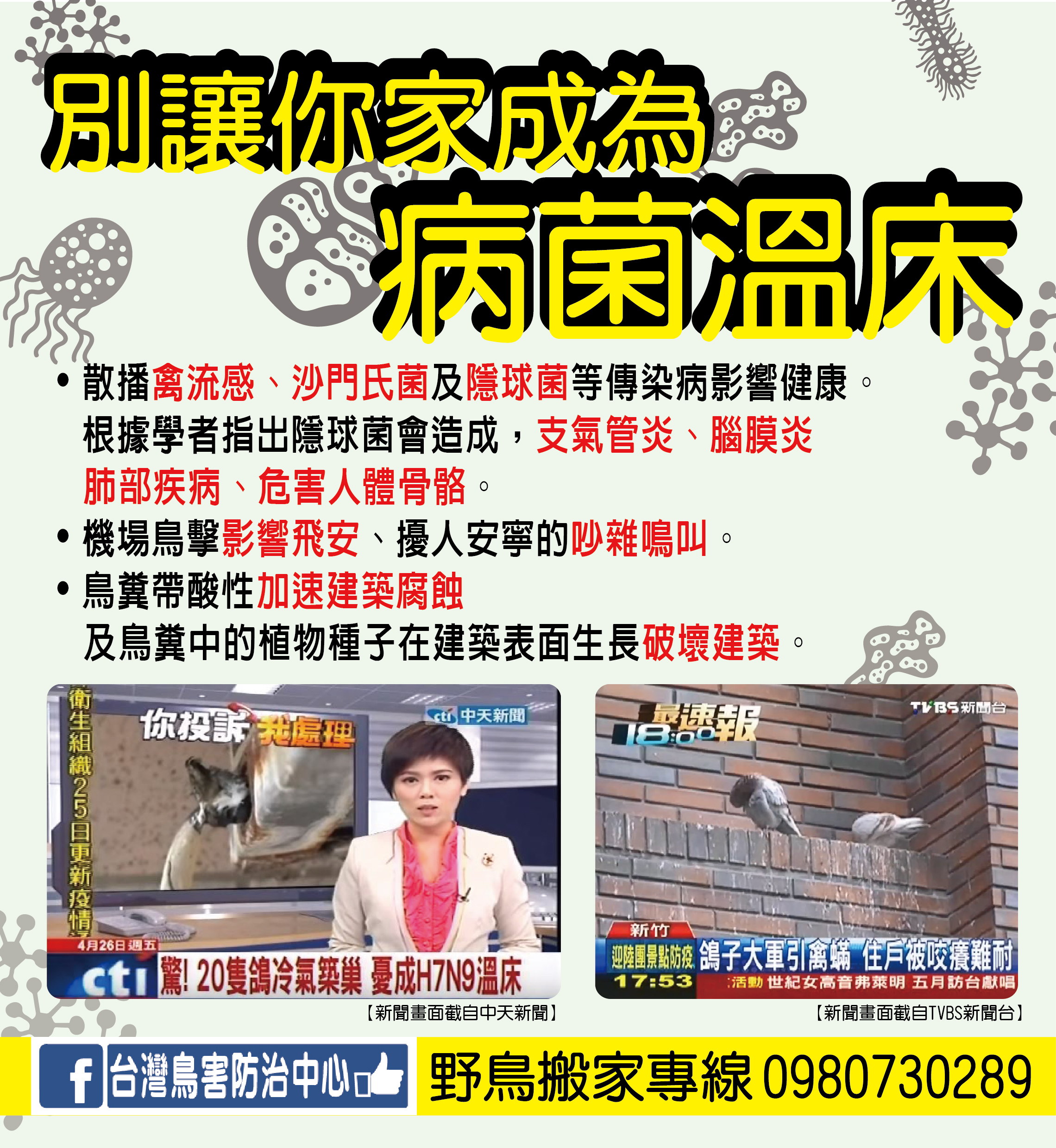 外牆清潔，鳥害防治，防鳥網/防鳥針安裝，外牆修繕清潔 - 20180604112904-83211314.jpg(圖)
