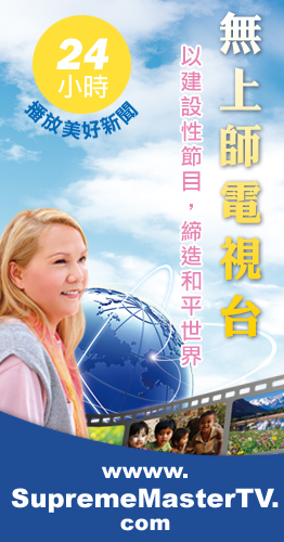 跟您分享 來自天堂的頻道 - 20180622152525-652618737.jpg(圖)