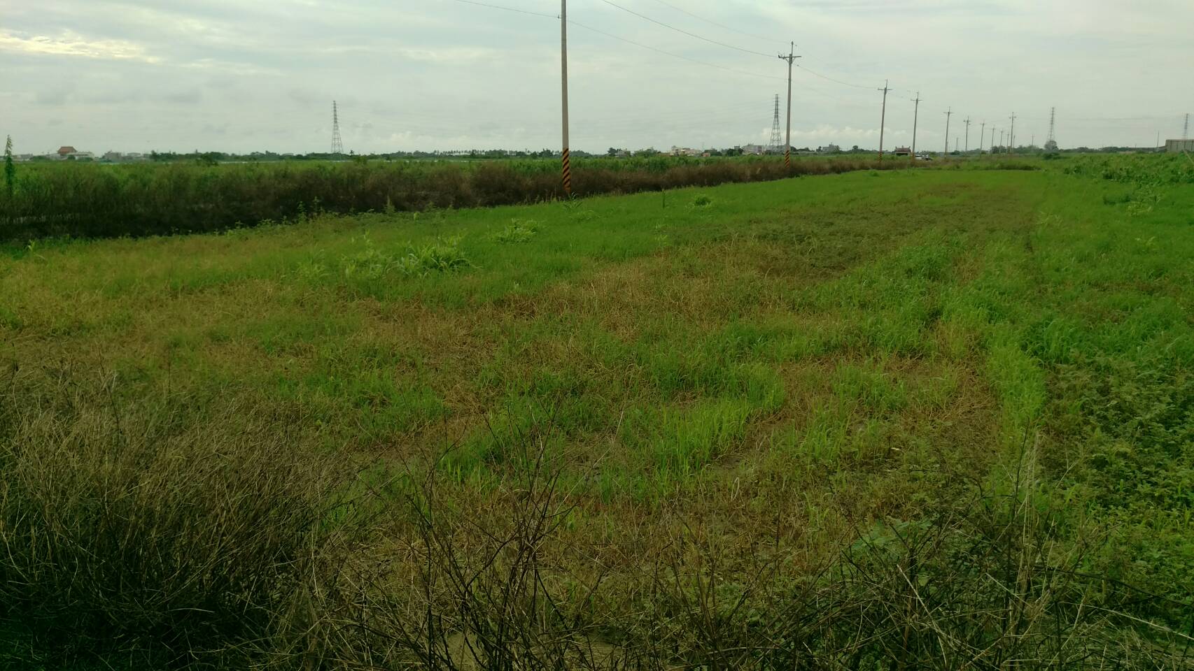 鹽水竹埔國小旁美農地 - 20180704100238-671643360.jpg(圖)