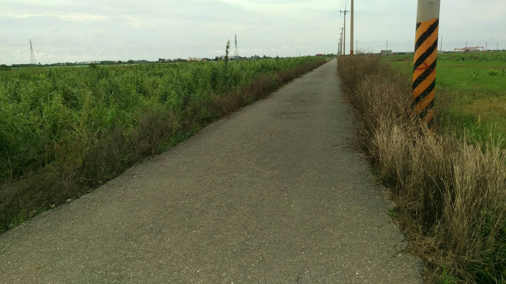 鹽水竹埔國小旁美農地 - 20180704100238-671683782.jpg(圖)