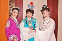 紅樓夢〜黃梅調說唱劇_圖片(2)