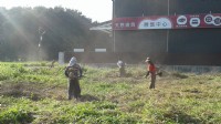 專業鋸樹除草修剪_圖片(2)