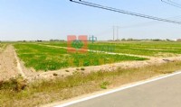 【售】後壁區大路農地《中信房屋-虎尾大學店》_圖片(2)