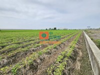 【售】虎尾73鄉道農地《中信房屋-虎尾大學店》_圖片(3)