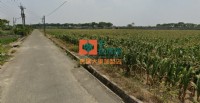 【售】台南後壁雞舍、太陽能_圖片(1)