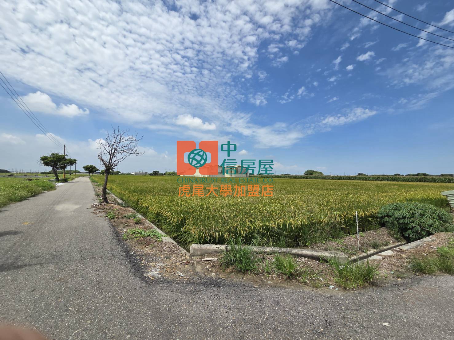 【售】水林合法雞舍用地 - 20250708115822-947166476.jpg(圖)