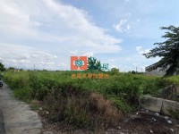 【售】水林合法雞舍太陽能用地_圖片(1)