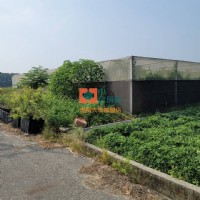 【售】虎尾有機認證農地_圖片(1)